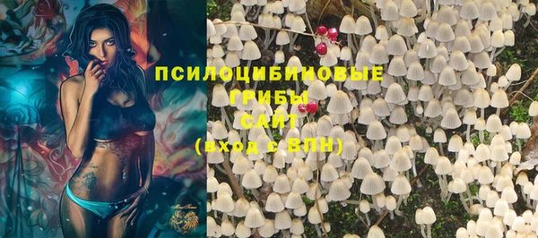 прущий лед Армянск