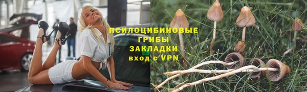прущий лед Армянск